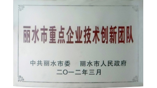 麗水市重點企業技術創新團隊