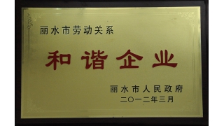 麗水市勞動關系和諧企業