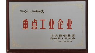 2012年度縣重點工業企業