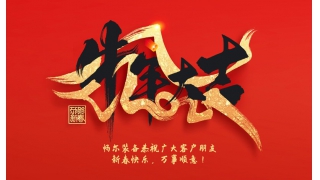 浙江暢爾智能(néng)裝備股份有限公司祝大家2021年新年快樂！